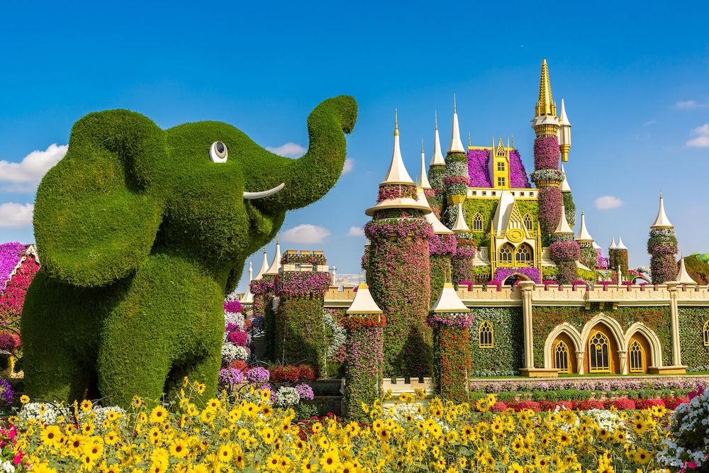 Miracle Garden